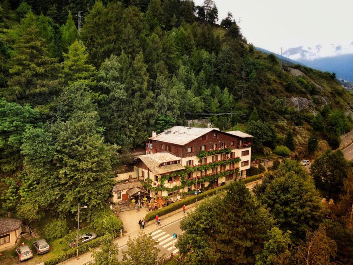 Hotel Daniela 博尔米奥 外观 照片