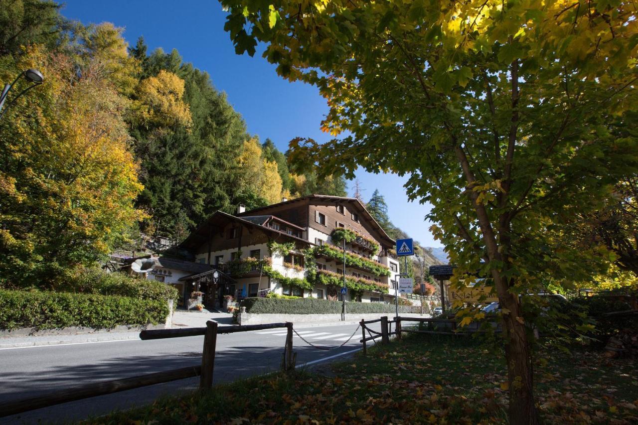 Hotel Daniela 博尔米奥 外观 照片