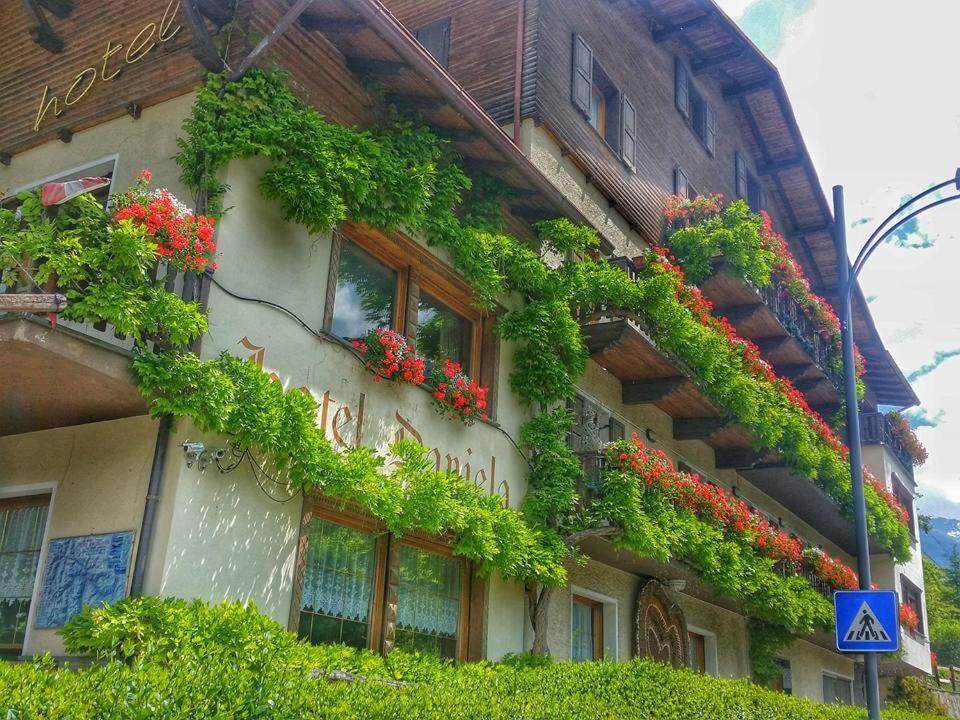 Hotel Daniela 博尔米奥 外观 照片
