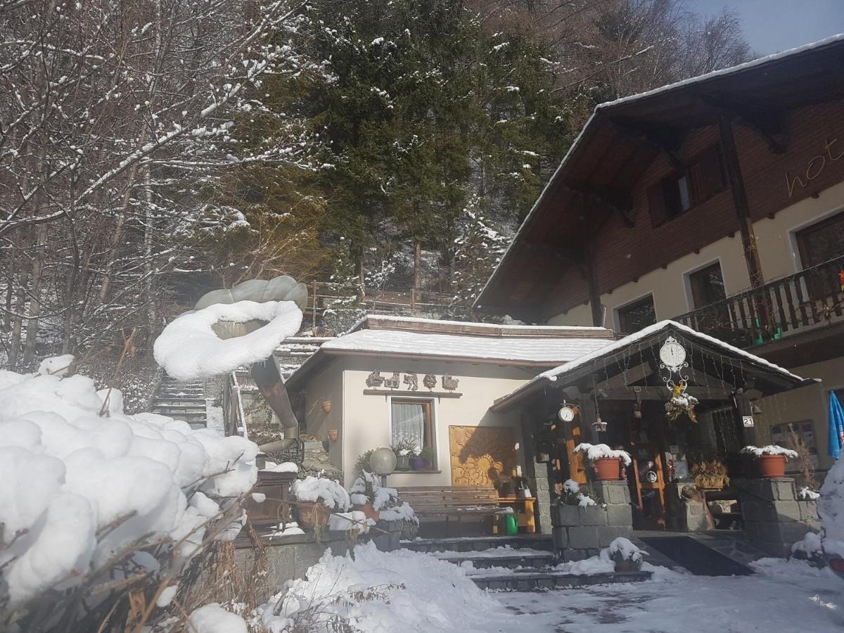 Hotel Daniela 博尔米奥 外观 照片